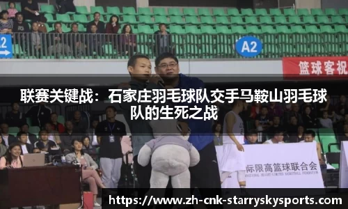 联赛关键战：石家庄羽毛球队交手马鞍山羽毛球队的生死之战